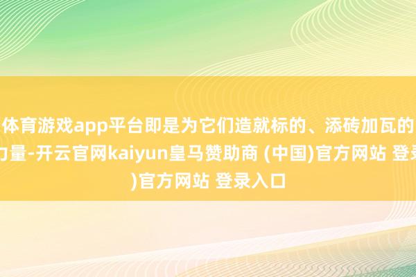 体育游戏app平台即是为它们造就标的、添砖加瓦的坚实力量-开云官网kaiyun皇马赞助商 (中国)官方网站 登录入口