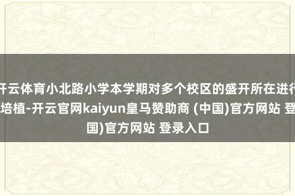 开云体育小北路小学本学期对多个校区的盛开所在进行了更变培植-开云官网kaiyun皇马赞助商 (中国)官方网站 登录入口